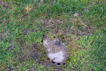 Zugewachsener Schacht