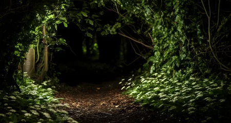 Papier Peint photo Route en forêt a pathway with lush green and bushes going to a path through a forest at night