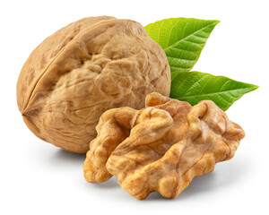 Walnut isolated. Unpeeled walnut with a nut half and leaves on white background. Walnut nut with...