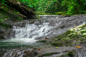 Waterscape in Central Borneo Tropical Forest