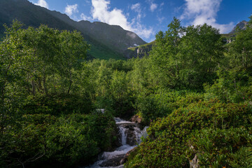 View of the Malaya Dukka River against the backdrop of the mountains of the North Caucasus on a sunny summer day, Arkhyz, Karachay-Cherkessia, Russia © Ula Ulachka