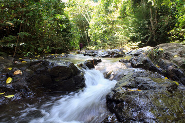 Waterscape in Central Borneo Tropical Forest