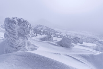 冬の八甲田山の樹氷