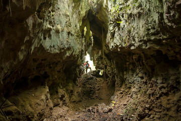 Rock Cave in Central Borneo Tropical Forest
