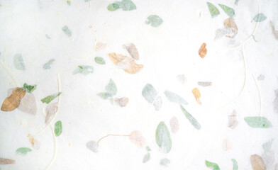 Handmade paper with pressed leaves and flower petals. Textured paper with natural fiber layers.                - 741156315
