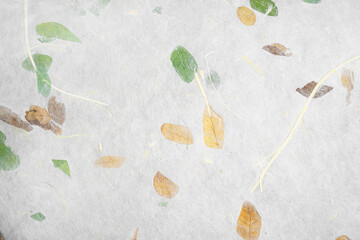 Handmade paper with pressed leaves and flower petals. Textured paper with natural fiber layers.               