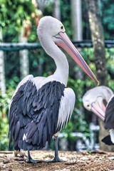 Port Douglas, Queensland, Australia