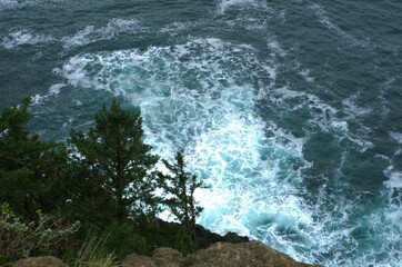 View downwards of pine trees growing on a steep cliff to the ocean which is rough with breaking waves. 