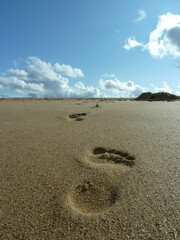 footprints in the sand on the beach