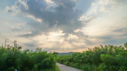 Beautiful complicate sunset cloud with light