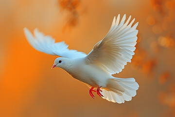 International Peace Day. Dove with olive branch sign
