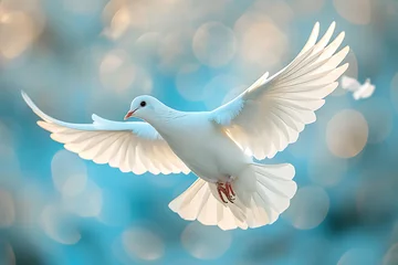 Fotobehang International Peace Day. Dove with olive branch sign © Evhen Pylypchuk
