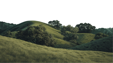 Green hill isolated on transparent background