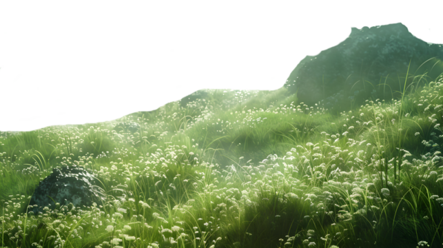 Green field of white wildflowers on transparent background - Powered by Adobe