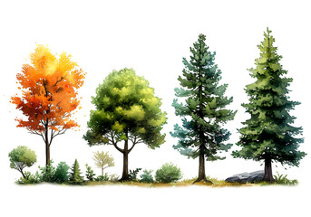 Fototapeta premium Watercolor painting of lush green summer to vibrant autumn hues, horizontal, isolated on a transparent background