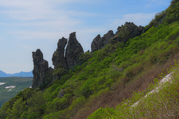 黒岳