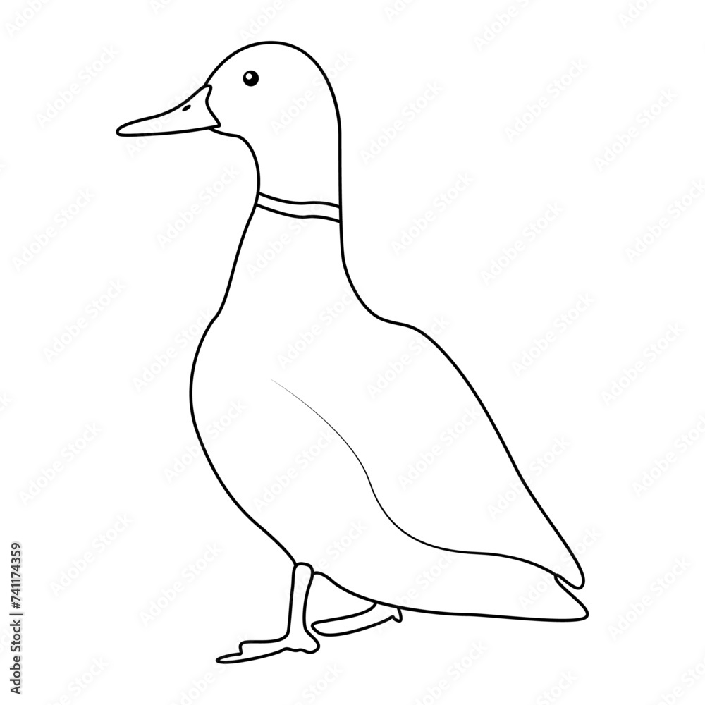 Poster Duck outline simple icon duck water bird continuous line art vector drawing of vector illustration. 