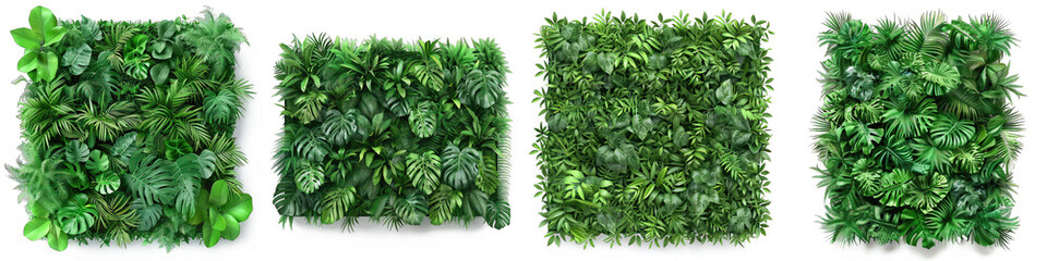 Green garden wall from tropical plants Hyperrealistic Highly Detailed Isolated On Transparent Background Png File