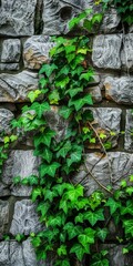 Ivy Covered Stone Wall Background in the Style of High Dynamic Range Nature Morte - Stylish Nature Stone Framing - Planar Ivy Stone Art Wallpaper created with Generative AI Technology