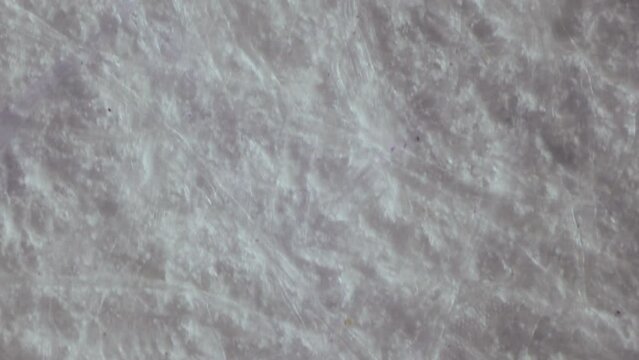 Coated paper under a microscope. 100x magnification. Wood fibers treated with chemicals