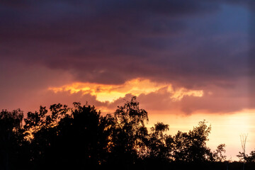 Sunset with tree silhouette - dramatic and colorful