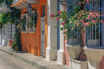 colonial typical facades of the walled city of Cartagena de Indias, Colombia, with decoration of nature decoration
