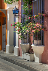 colonial typical facades of the walled city of Cartagena de Indias, Colombia, with decoration of nature decoration