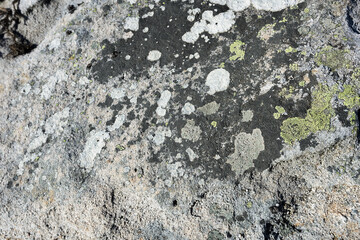 Limestone rock texture with lichens