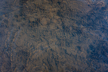 Texture of a thin layer of ice on footprints in the mud