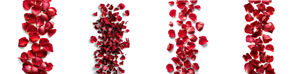 strip of scattered red rose petals Hyperrealistic Highly Detailed Isolated On Transparent Background Png File