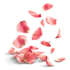 Petals Rose falling in the air, Beautiful flower in nature concept, AI generated, PNG transparent with shadow