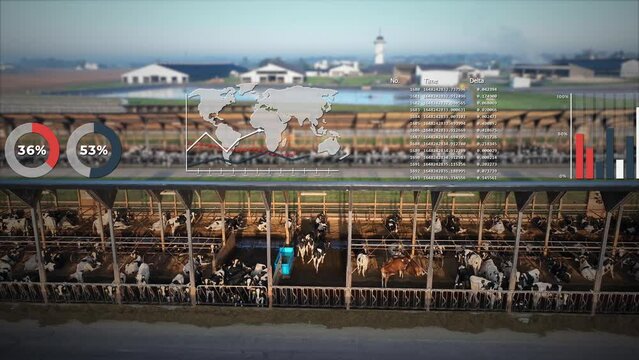 Agritech data charts overlay a modern dairy farm, tracking cattle and productivity. Aerial truck shot with motion graphics of graphs and data analytics.