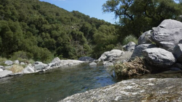 Mountain river and forest during 
summer in Merlo, San Luis. Argentina.
