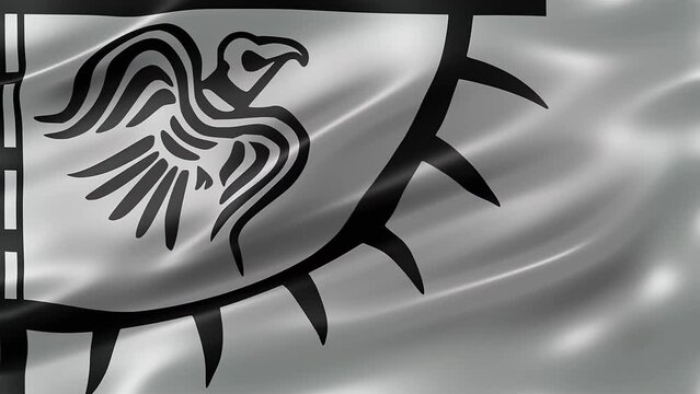 Raven Banner, front view, full frame, glossy, elegant silky texture, waving in the wind, movie-like look, realistic 4K CG animation, slow-motion fluttering, seamless loop-able.