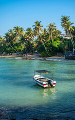 Fototapeta na wymiar Beautiful Indian Ocean coastline on the island of Sri Lanka, Mirissa.