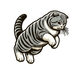 scottish fold cat simple hand drawn vector illustration