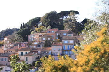 view of the city bormes la mimosa, france