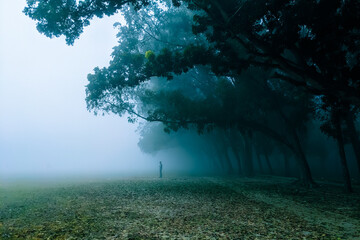 Foggy winter morning 