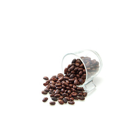 Dried cocoa beans crushed in a glass on a white background, empty space.