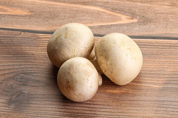 Fototapeta premium Natural organic ripe champignon mushrooms