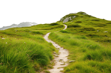 Summer landscape in mountains with trail isolated on transparent background