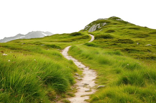 Summer landscape in mountains with trail isolated on transparent background