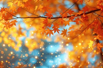 petal flowers confetti falling from a bright blue sky on an autumn or spring professional photography