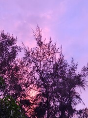 Fototapeta na wymiar Colors of sky