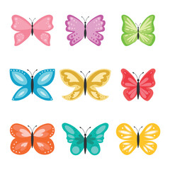Set of butterflies. Multicolored vector butterflies on a white background.