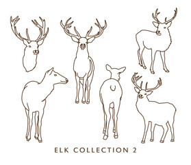 Elk Illustration Set (Different Poses) - Outlines
