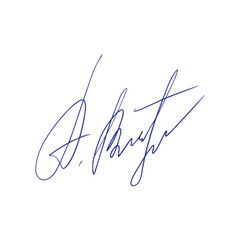 Autograph hand drawn. Handwritten signature. Drawing line scrawl.