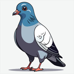 vector pigeon bird