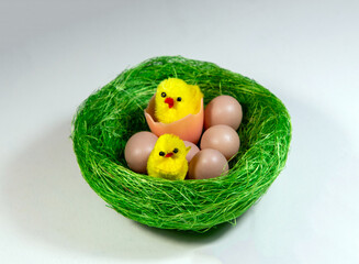 Fototapeta na wymiar An ornamental nest with eggs and chicks on a white background