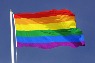 lgbt flag LGBT+ History Month 2024